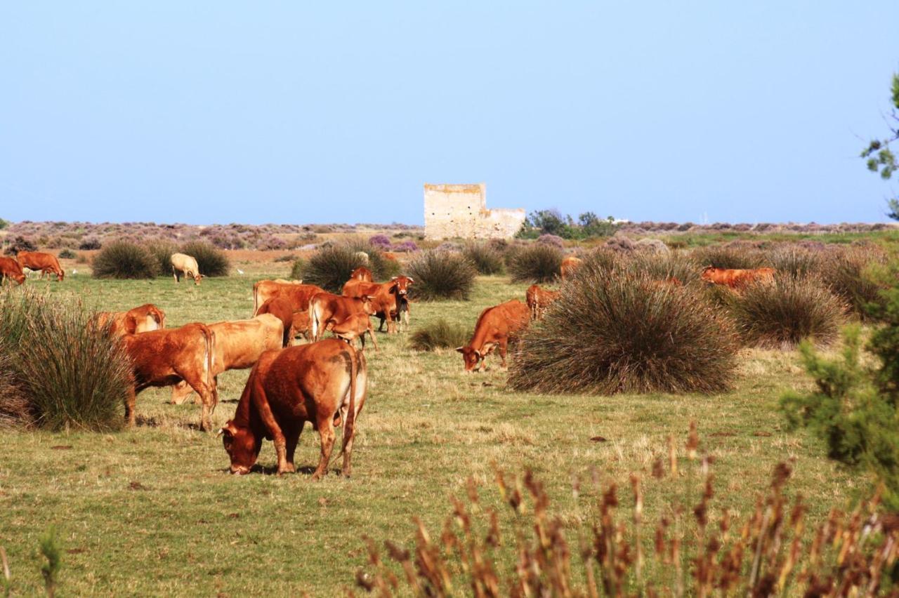 Herdade Dos Salgados Do Fialho FAO Exterior photo