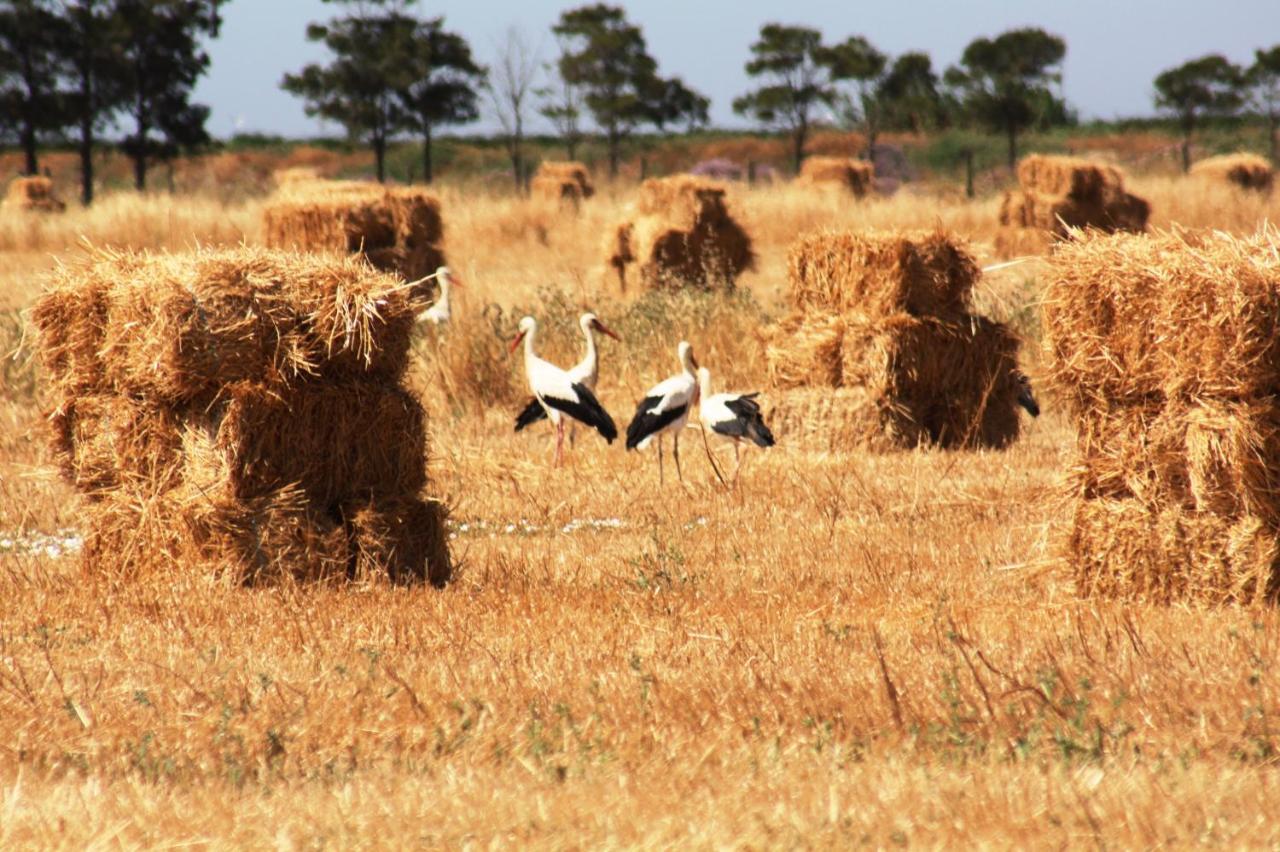 Herdade Dos Salgados Do Fialho FAO Exterior photo