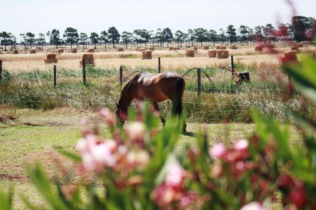Herdade Dos Salgados Do Fialho FAO Exterior photo