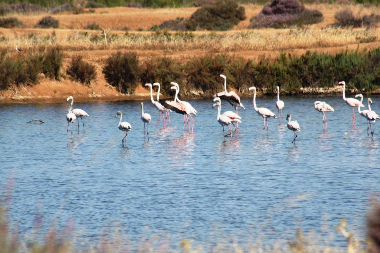 Herdade Dos Salgados Do Fialho FAO Exterior photo