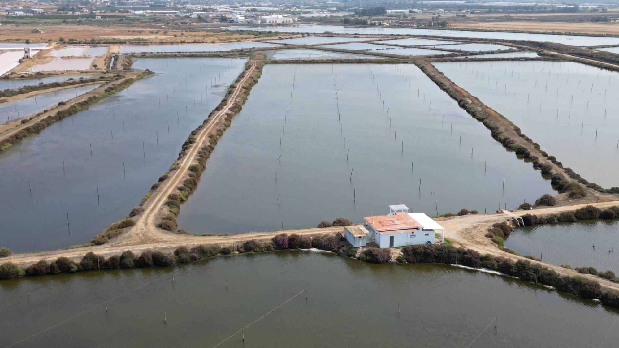 Herdade Dos Salgados Do Fialho FAO Exterior photo