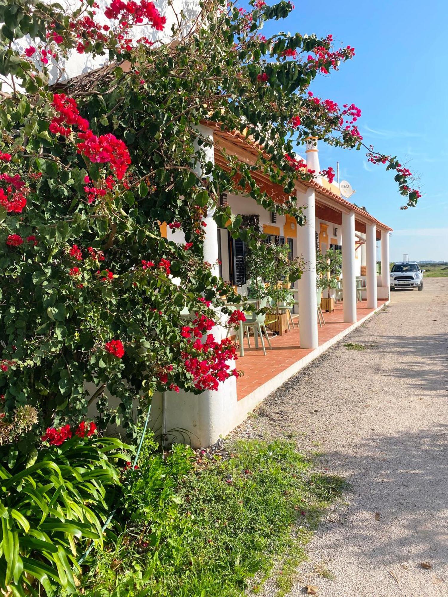 Herdade Dos Salgados Do Fialho FAO Exterior photo